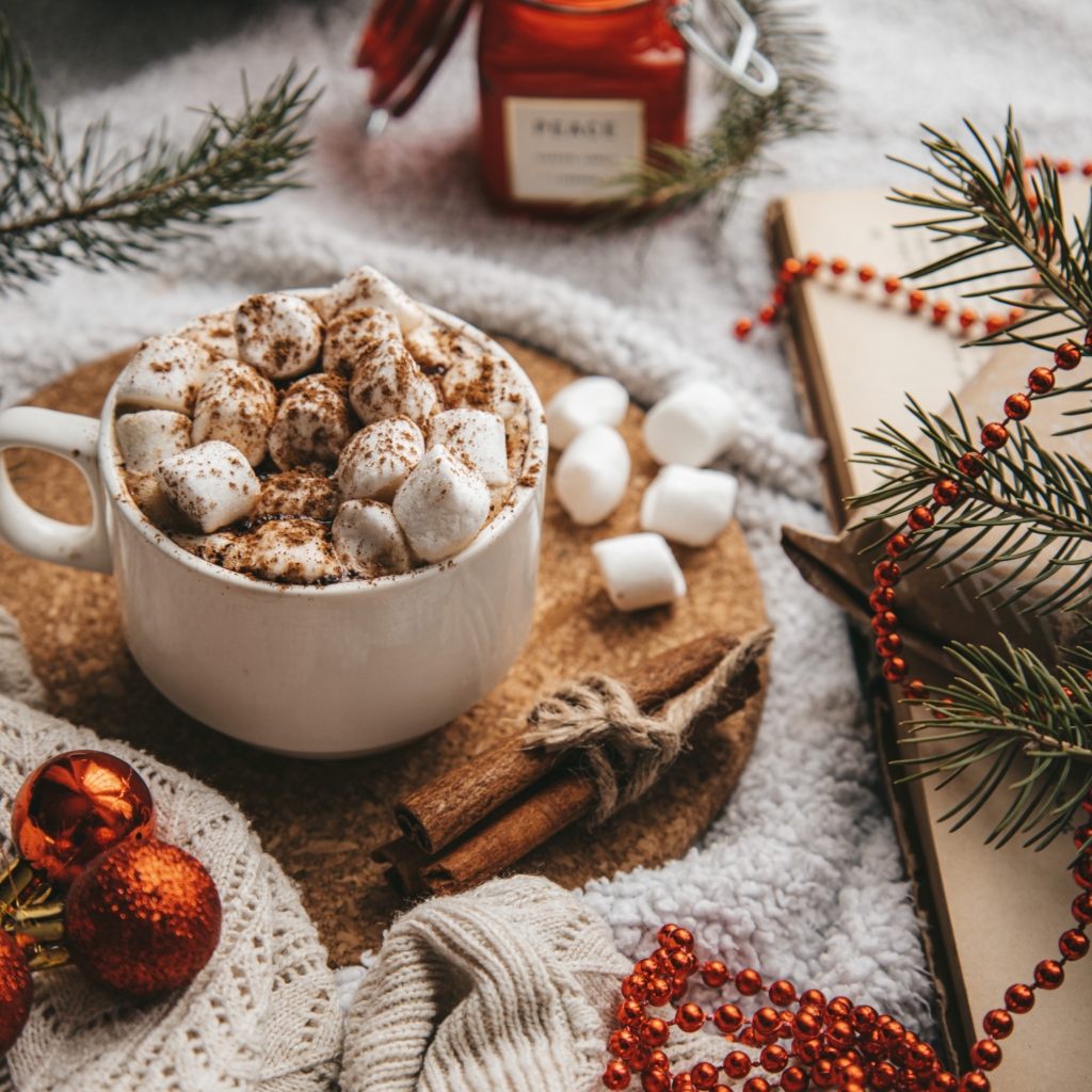 Create a hot chocolate bar - mug with hot cocoa, marshmallows, and cinnamon on table with winter holiday theme decor