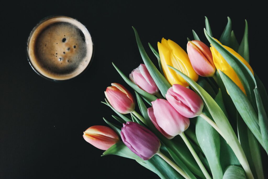 fresh tulips and black coffee on table